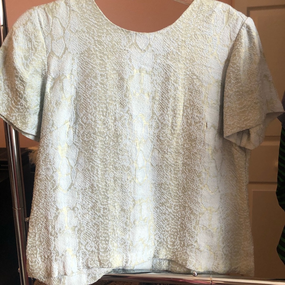 Dressy blouse